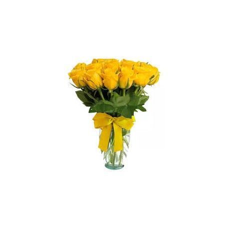 Rosas Alegria 