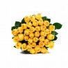 Rosas Marzo